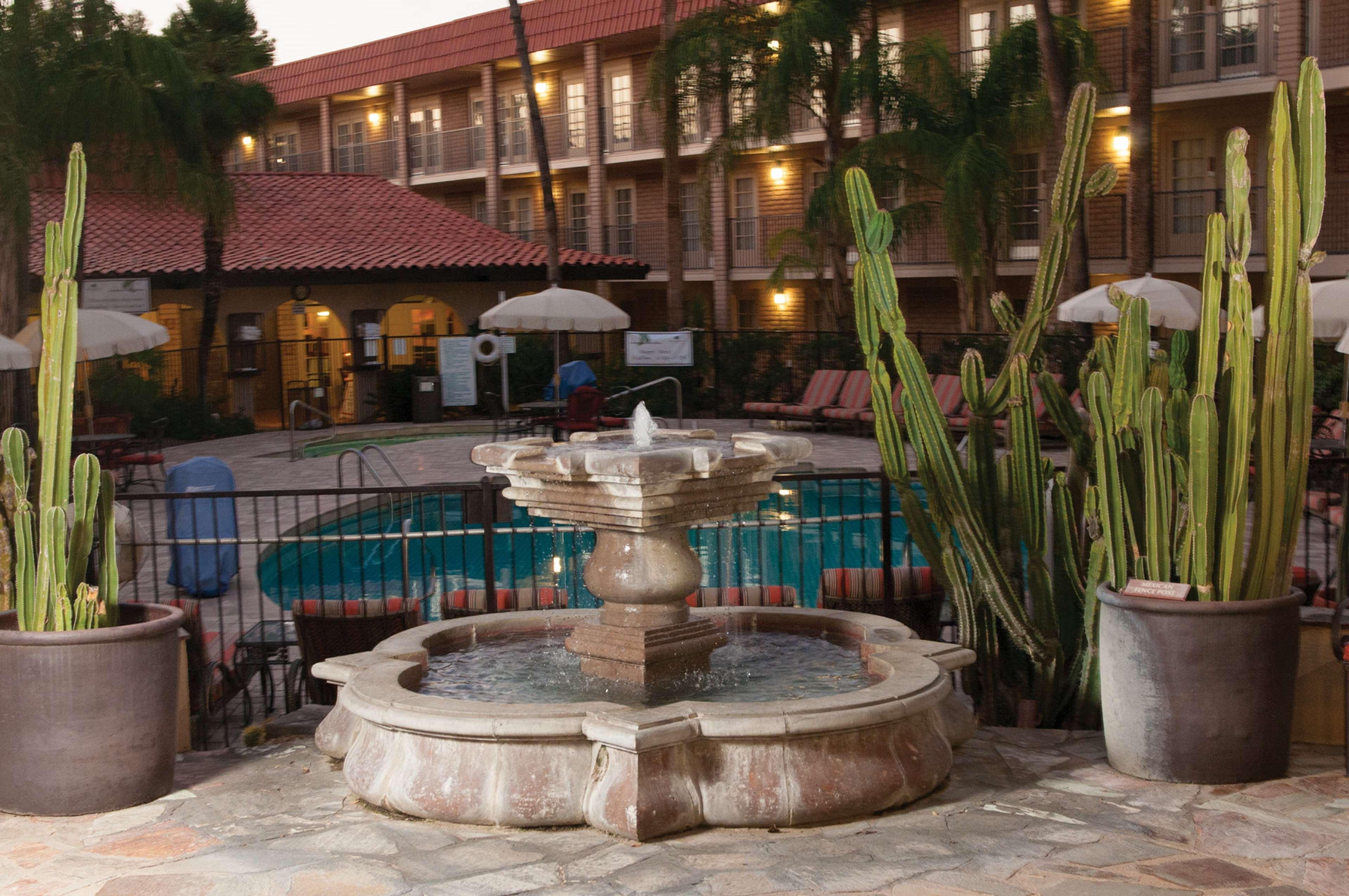 Doubletree Suites By Hilton Tucson-Williams Center Esterno foto